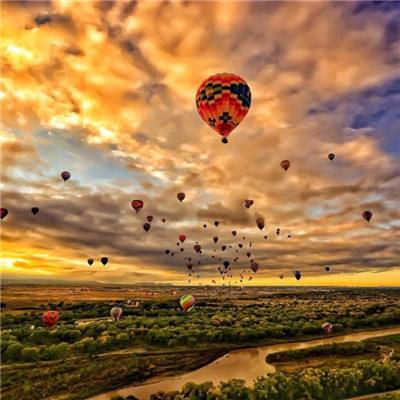 半导体育官方app