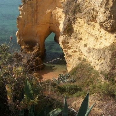 新澳门六开彩资料大全app下载